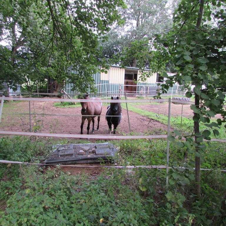 Ferienwohnung "Eifelstueffje" Mechernich Cameră foto