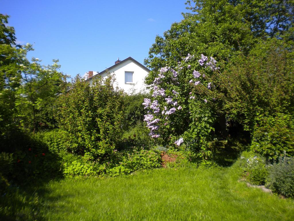 Ferienwohnung "Eifelstueffje" Mechernich Exterior foto