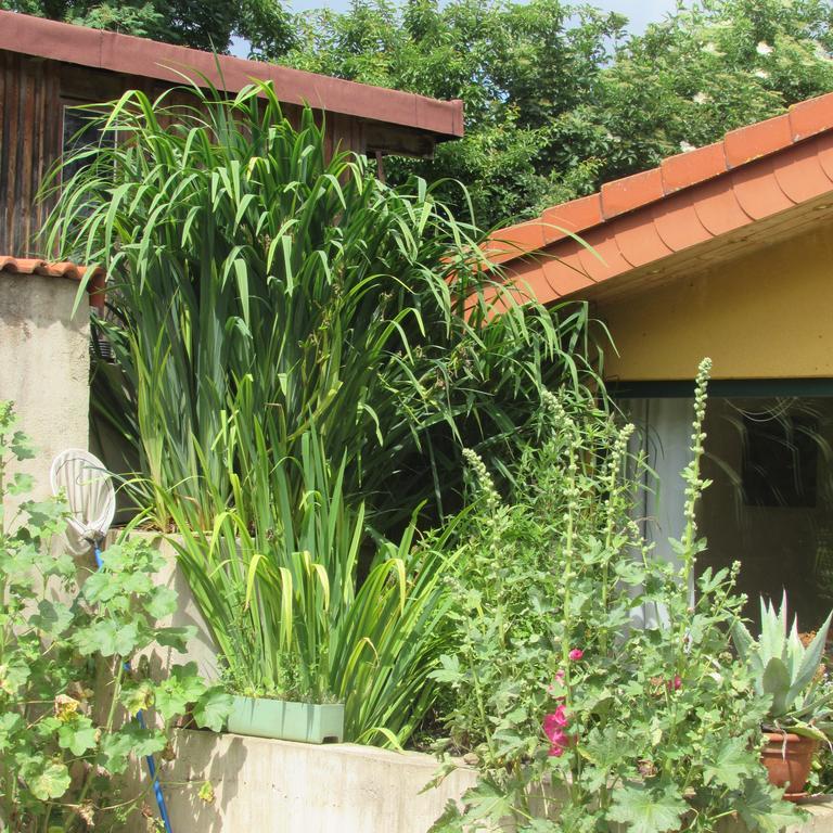 Ferienwohnung "Eifelstueffje" Mechernich Exterior foto